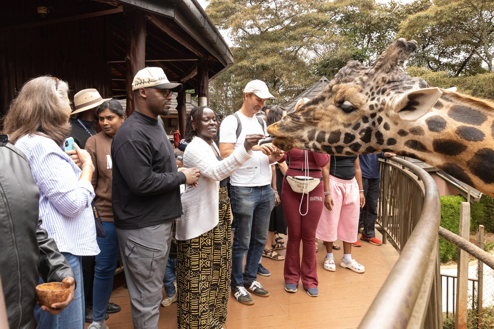 Feeding giraffes at the giraffe center